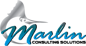 Marlin Consulting Solutions Free Website Audit